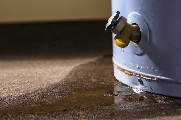 Best Local water damage restoration  in Three Rivers, CA