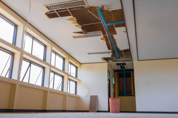 Best Water damage restoration company  in Three Rivers, CA