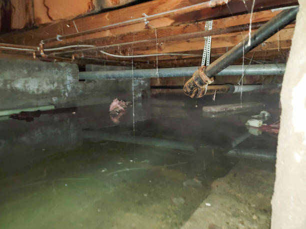 Best Fire Damage Restoration  in Three Rivers, CA