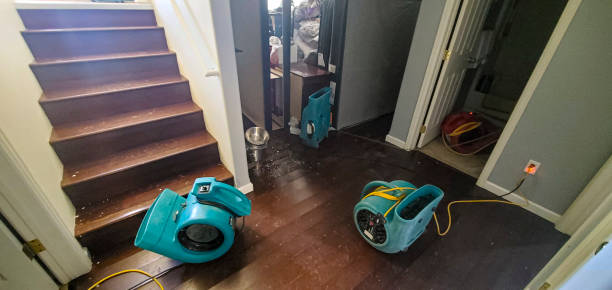 Best Flood restoration services  in Three Rivers, CA