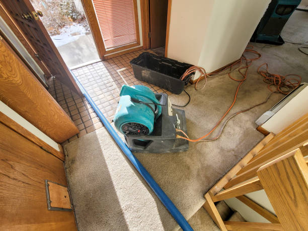 Professional Water damage restoration in Three Rivers, CA