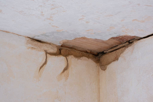 Best Water damage restoration services  in Three Rivers, CA