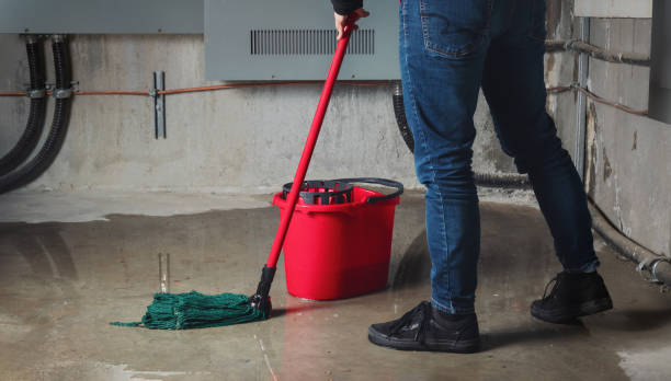 Best Basement water damage restoration  in Three Rivers, CA