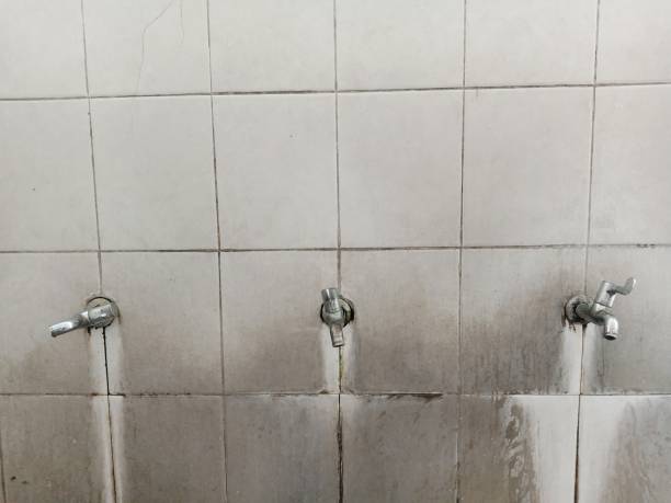 Best 24-hour water damage restoration  in Three Rivers, CA
