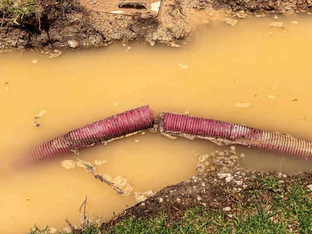 Best Flood damage cleanup  in Three Rivers, CA