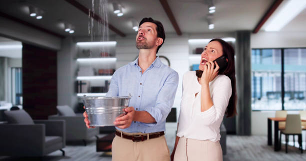 Best Water damage contractors near me  in Three Rivers, CA